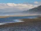 Misty beach, Olympic Peninsula, Washington State. Art Print